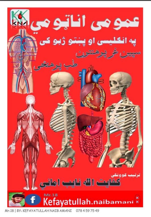 General anatomy